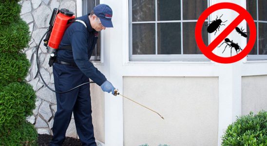 Günyüzü Bit İlaçlama böcek ilaçlama ve haşere kontrolü — ilaclama-tr.com